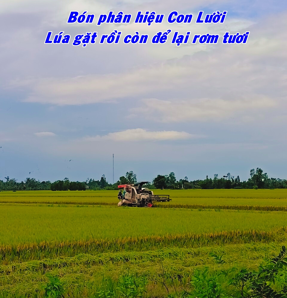 Phân bón hiệu Con Lười,