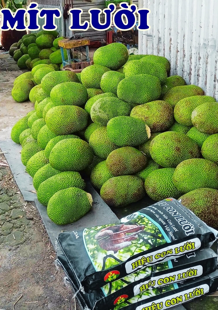 Phân bón hiệu Con Lười F35