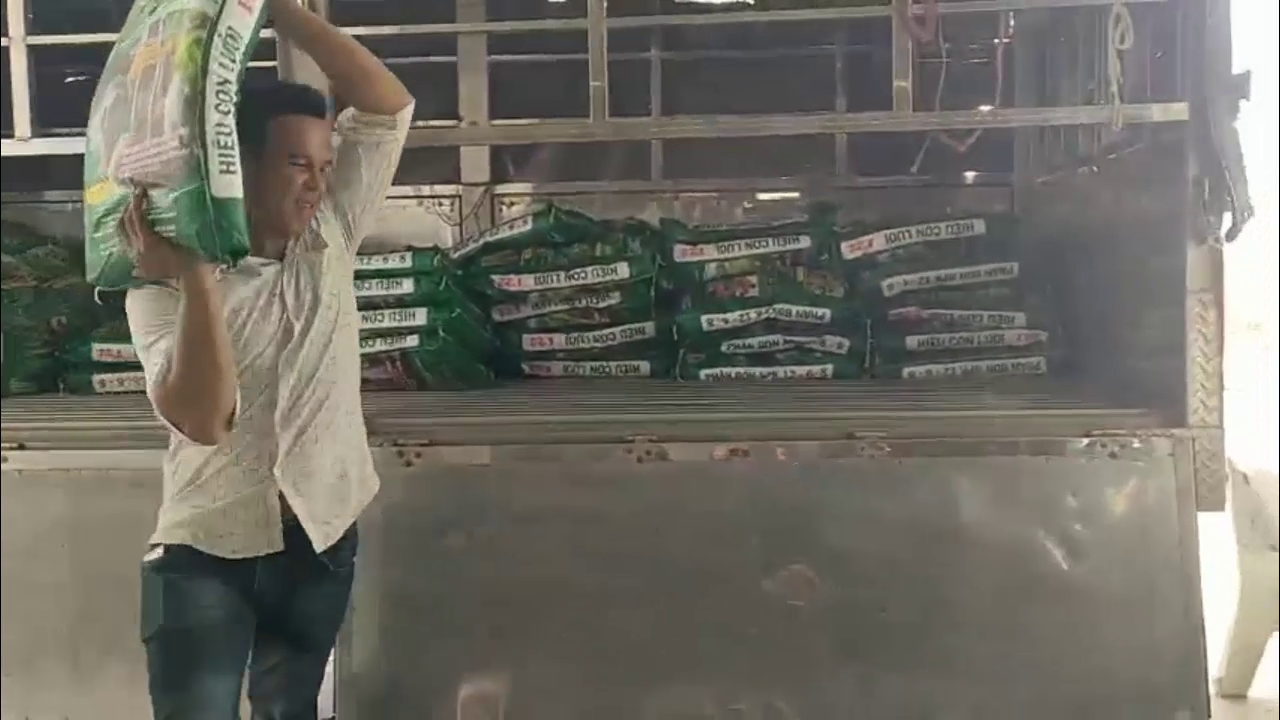 phân bón hiệu con lười, 