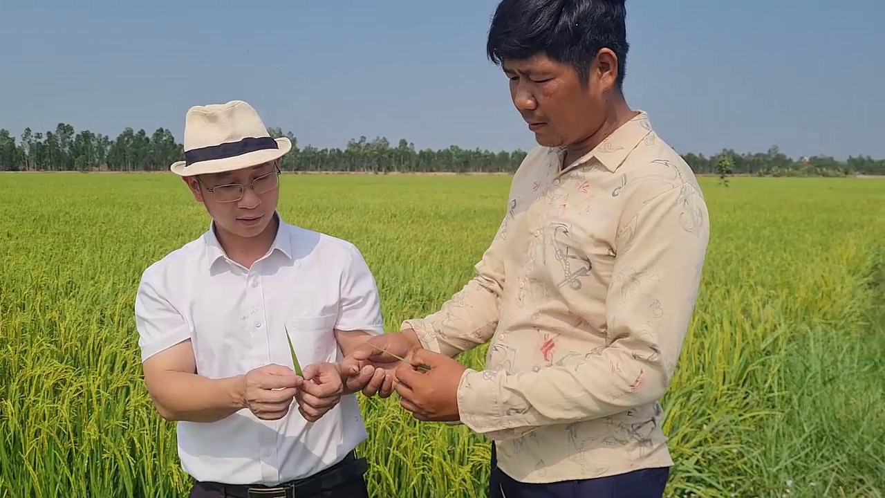 Phân bón hiệu Con Lười