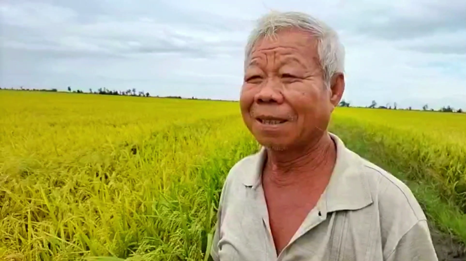 Ph&acirc;n b&oacute;n hiệu Con Lười F35