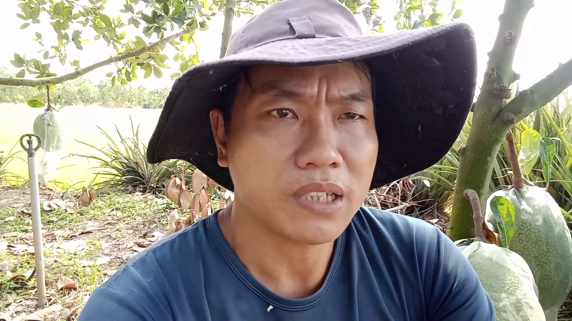 Phân bón hiệu Con Lười F35