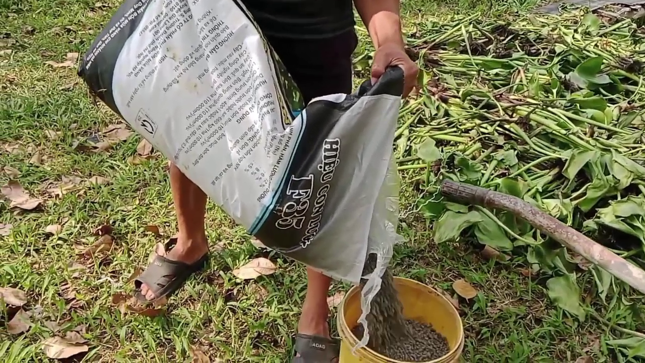 Phân bón hiệu Con Lười F35