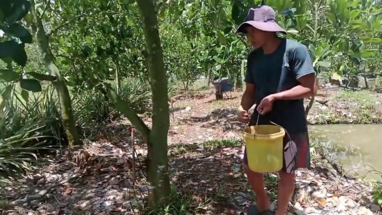 Phân bón hiệu Con Lười F35