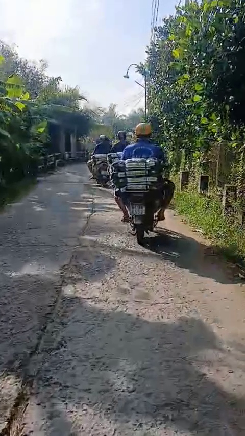 ph&acirc;n b&oacute;n hiệu Con Lười F35