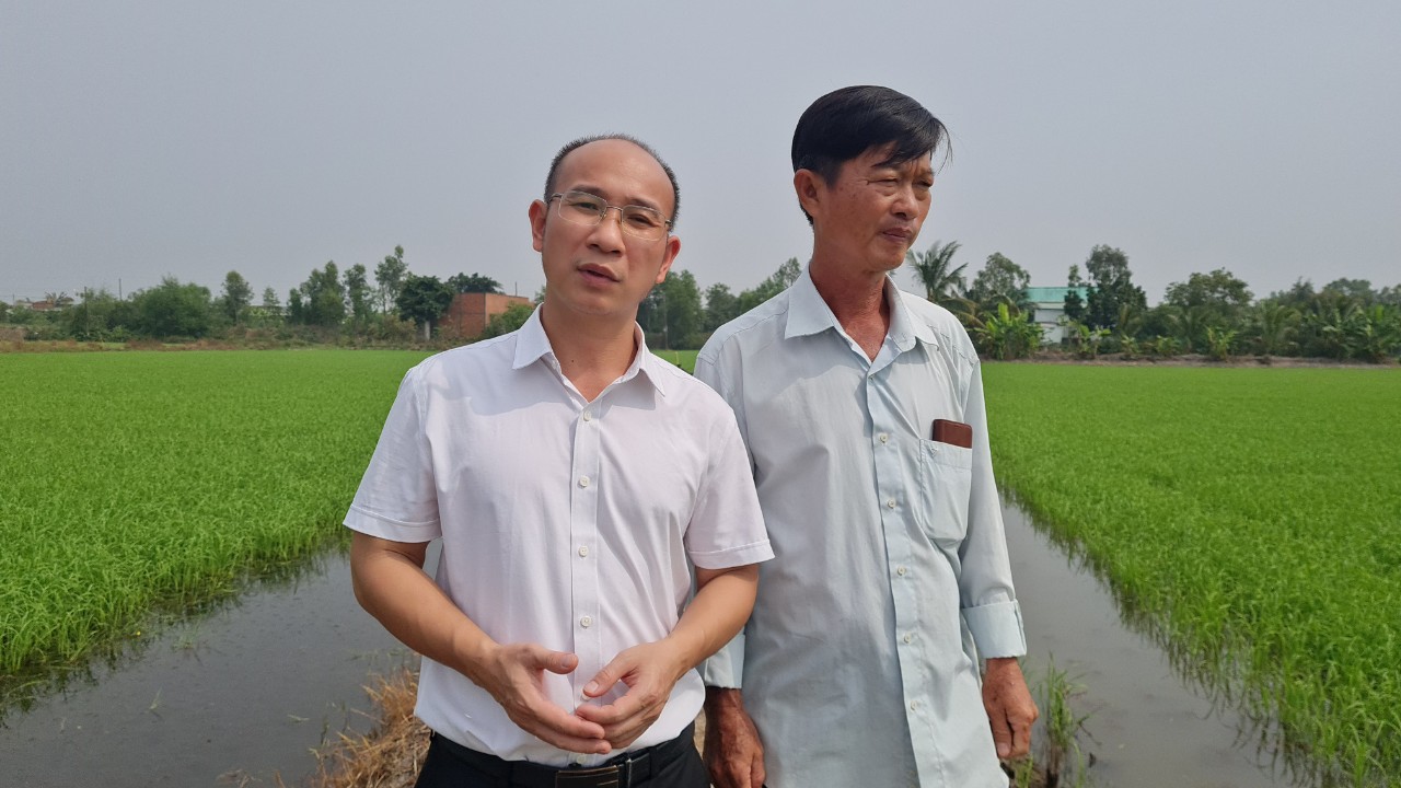 Phân bón hiệu Con Lười F35