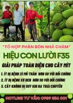 Giá Mít Thấp? Vẫn Có Lời Nhờ Bí Quyết Xài Phân Bón Hiệu Con Lười F35