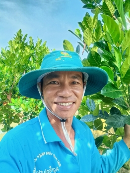 Anh Triệu chia sẻ quy trình bón phân hiệu Con Lười F35 cho vườn mít từ khi mới trồng cho đến lúc thu hoạch