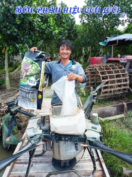 Khởi đầu Vụ Đông Xuân Thuận Lợi Cùng PHÂN BÓN HIỆU CON LƯỜI F35