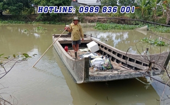 PHÂN BÓN CON LƯỜI F35 – BÍ QUYẾT CHĂM SÓC VƯỜN MÍT HIỆU QUẢ TẠI CẦN THƠ