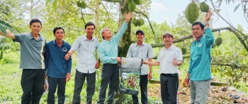 Khám phá hiệu quả phân bón hiệu Con Lười F35 qua vườn sầu riêng tại Tháp Mười