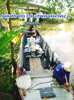 Giao 1 Tấn Phân Bón Hiệu Con Lười F35 Đến Cho Bà Con Trồng Mít Tại Bình Tân, Vĩnh Long