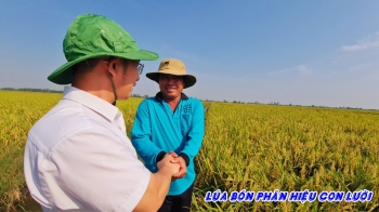 Anh Tâm tại huyện Tháp Mười, tỉnh Đồng Tháp chia sẻ kỹ thuật sử dụng phân bón hiệu Con Lười