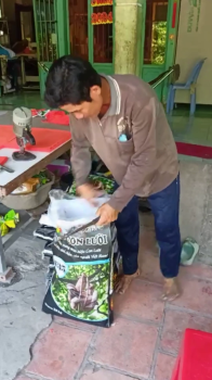 Ngày 23/8/2024,  Tiếp tục giao phân bón hiệu Con Lười F35 chuyên dùng cho mít cho nhà vườn tại Cái Bè - Tiền Giang