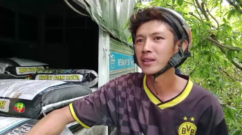 Câu chuyện làm trái mít mùa nghịch thành công ngoài mong đợi của anh Trí tại Tiền Giang - Bí quyết là xài phân bón hiệu Con Lười F35