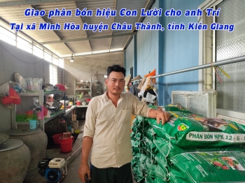 Anh Trí tại xã Minh Hòa, huyện Châu Thành, tỉnh Kiên Giang sử dụng phân bón hiệu Con Lười F22 cho giống lúa OM5451 thu được thành quả thực sự ấn tượng