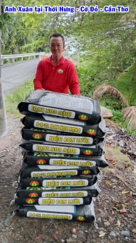 Phân bón nhả chậm thông minh - Phân bón tốt nhất cho cây mít