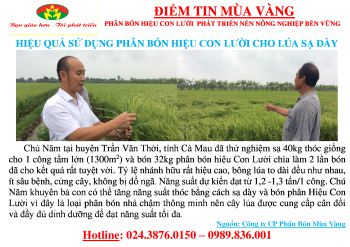 Đánh giá hiệu quả sử dụng Phân bón Hiệu Con Lười cho Lúa sạ dày