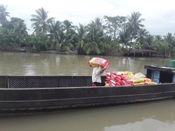 Đưa phân bón hiệu Con Lười về phục vụ bà con nông dân tại Đồng Bằng Sông Cửu Long