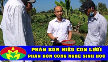 Nhà Khoa học Thạc Sĩ Nguyễn Văn Luých đến những vùng đất xa xôi của miền Tây Nam Bộ để chuyển giao kỹ thuật sử dụng phân bón hiệu Con Lười cho bà con nông dân