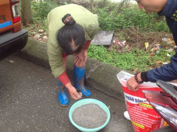 Bà con nông dân tại Xã Cổ Bi, huyện Gia Lâm, TP Hà Nội sử dụng phân bón hiệu Con Lười cho cây Lúa trong vụ Đông Xuân năm 2019.