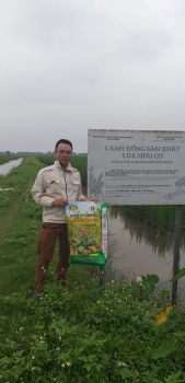 Ứng dụng Phân Bón Công Nghệ Sinh học hiệu Con Lười vào sản xuất LÚA HỮU CƠ tại huyện Kiến Thụy - Hải Phòng.