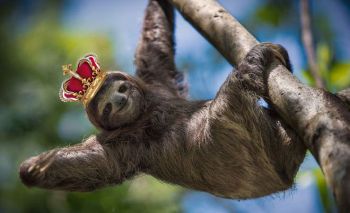 Làm thế nào để cải tạo đất tốt cho những mùa vụ tới?