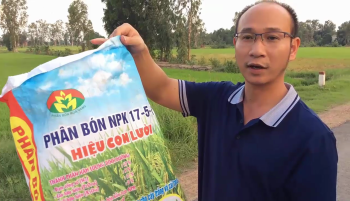 Phân bón hiệu Con Lười liên tục được đưa về tỉnh Long An phục vụ bà con nông dân