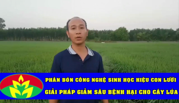 Vua Lười về huyện Thủ Thừa, tỉnh Long An đánh giá tình hình sâu bệnh của Lúa bón phân hiệu Con Lười