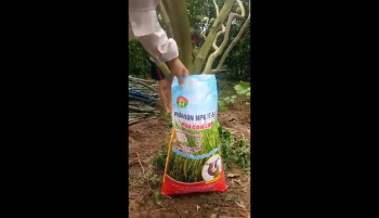 Cách bón Phân Con Lười cho cây Ăn Trái 