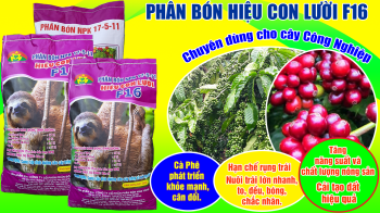 Phân bón hiệu Con Lười thế hệ F16 bón cho cây Cà Phê