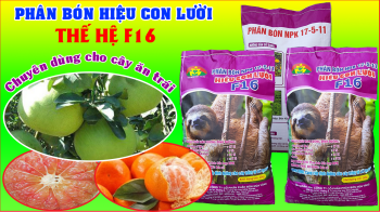 Phân hiệu Con Lười F16 dùng cho cây Công Nghiệp, cây ăn trái phục vụ bà con tại tỉnh Long An.