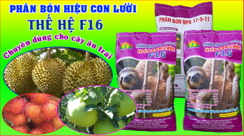 Phân bón tốt nhất cho cây ăn trái - phân hiệu Con Lười