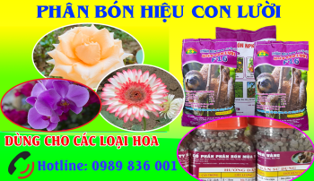 Phân bón cao cấp dùng cho cây Hoa 