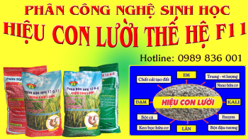 Phân bón tốt nhất cho cây Lúa - Phân hiệu Con Lười