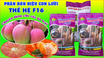  Phân bón tốt nhất cho cây ăn trái - Phân công nghệ sinh học hiệu Con Lười