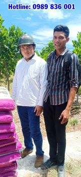 Phân bón hiệu Con Lười F16 chuyên dùng cho cây ăn trái đã về tới tỉnh Vĩnh Long phục vụ nhà Nông