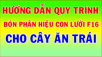 Quy trình bón phân hiệu Con Lười F16 cho cây ăn trái