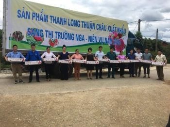 PHÂN BÓN HIỆU CON LƯỜI - GIẢI PHÁP CÔNG NGHỆ GIÚP BÀ CON TỈNH SƠN LA NÂNG CAO CHẤT LƯỢNG QUẢ THANH LONG NÓI RIÊNG VÀ NÔNG SẢN NÓI CHUNG.