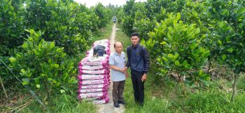 Phân bón hiệu Con Lười F16 được các nhà vườn tại tỉnh Vĩnh Long tin dùng cho các loại cây ăn trái.