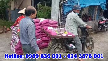 Phân bón hiệu Con Lười phục vụ bà con tỉnh Vĩnh Long trồng cây ăn trái.