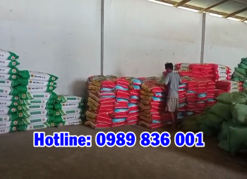 Phân bón Công Nghệ Sinh học hiệu Con Lười hân hạnh phục vụ bà con tỉnh Tây Ninh