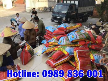 Phân bón hiệu Con Lười hân hạnh phục vụ bà con tỉnh Hải Dương trồng trọt