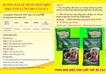 Quy trình bón Phân Công nghệ sinh học hiệu Con Lười thế hệ F22 cho cây Lúa đạt năng suất cao trồng trên vùng đất nhiễm Phèn.