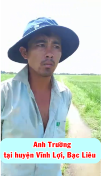 Lúa bón phân hiệu Con Lười của anh Trường ở Bạc Liêu được 54 ngày tuổi. Ghi hình ngày 15/07/2021