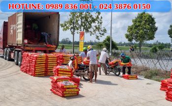 Nông dân tỉnh Hậu Giang tin dùng phân bón hiệu Con Lười trong năm 2022