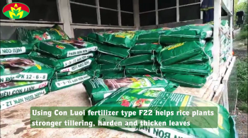 The Golden harvest Fertilizer Joint Stock Company delivered 3.5 tons of 