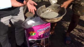 Vua Lười hướng dẫn kỹ thuật sử dụng phân bón hiệu Con Lười F16 cho cây ăn trái