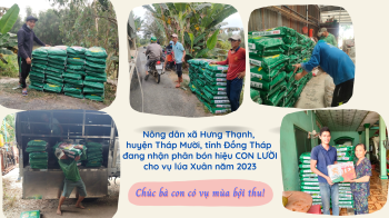 Ngày 06/01/2023, Công ty phân bón Mùa Vàng đã giao xong 35 tấn phân bón hiệu Con Lười F22 cho rất nhiều bà con nông dân trồng lúa tại huyện Tháp Mười, tỉnh Đồng Tháp