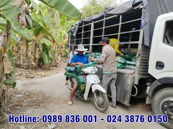 Ngày 17/03/2023, Công ty tiếp tục giao 4,75 tấn phân bón hiệu Con Lười cho anh Ngọt tại Xã Đông Thuận, Huyện Thới Lai, Thành phố Cần Thơ.